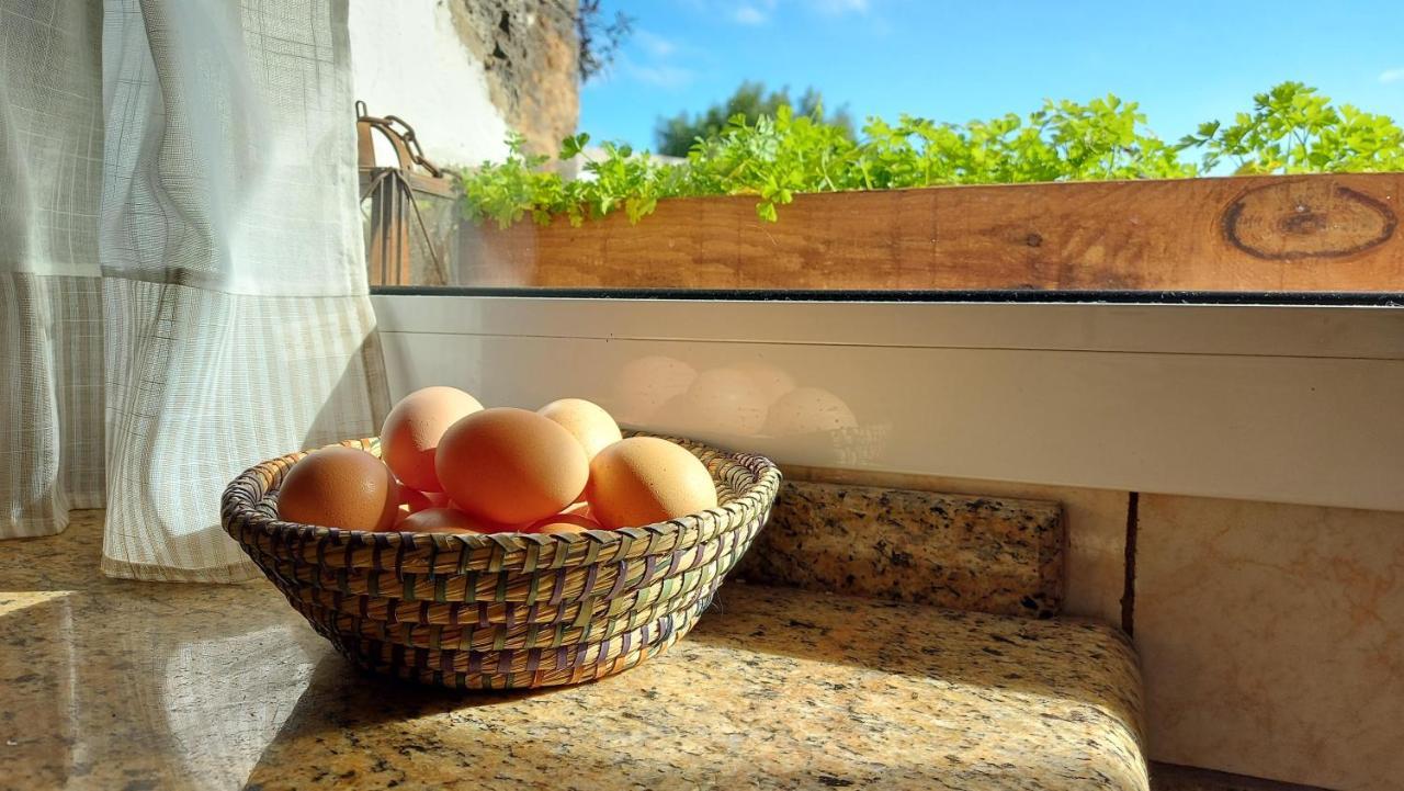 Casa Natura Ainhoa Ла-Олива Экстерьер фото